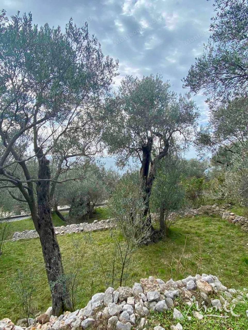 Земля в Режевичах, Черногория, 1 650 м² - фото 5