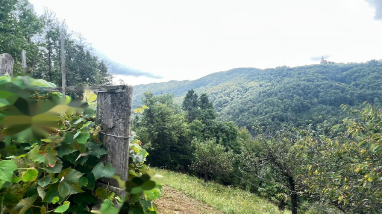 Дом в Лашко, Словения, 41 м² - фото 7