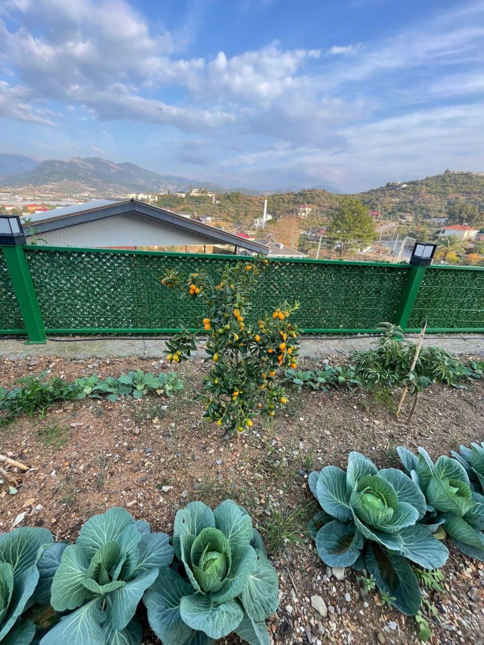 Вилла в Газипаше, Турция, 451 м² - фото 17