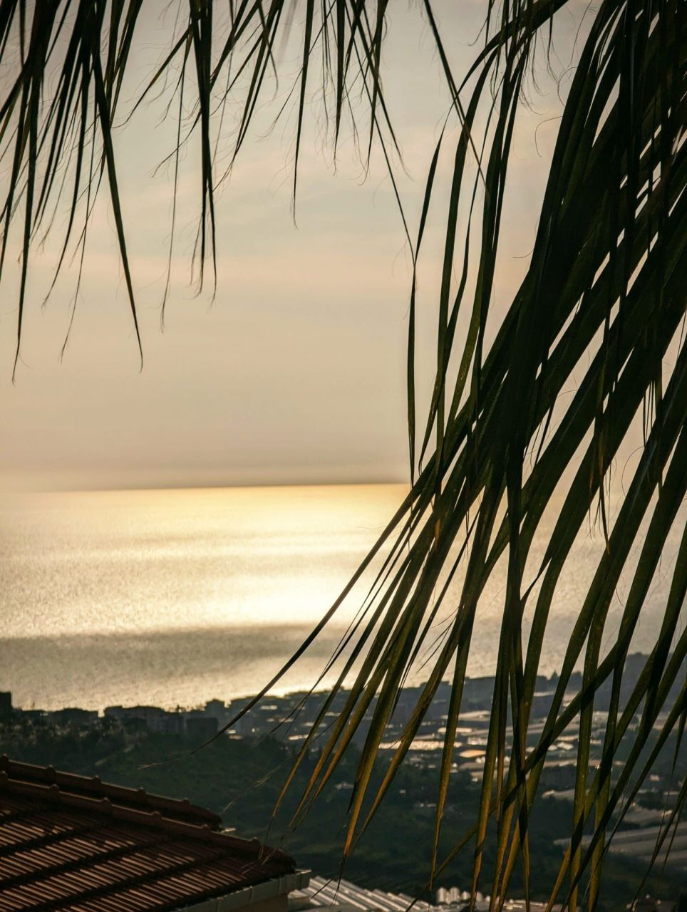 Вилла в Алании, Турция, 300 м² - фото 16