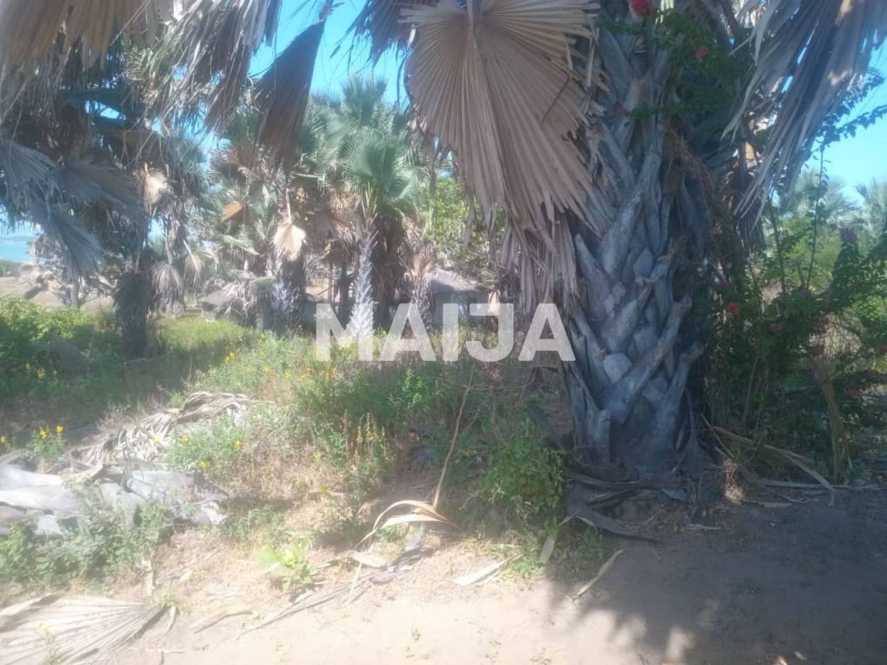 Офис Gunjur Madina, Гамбия, 14.07 м² - фото 4