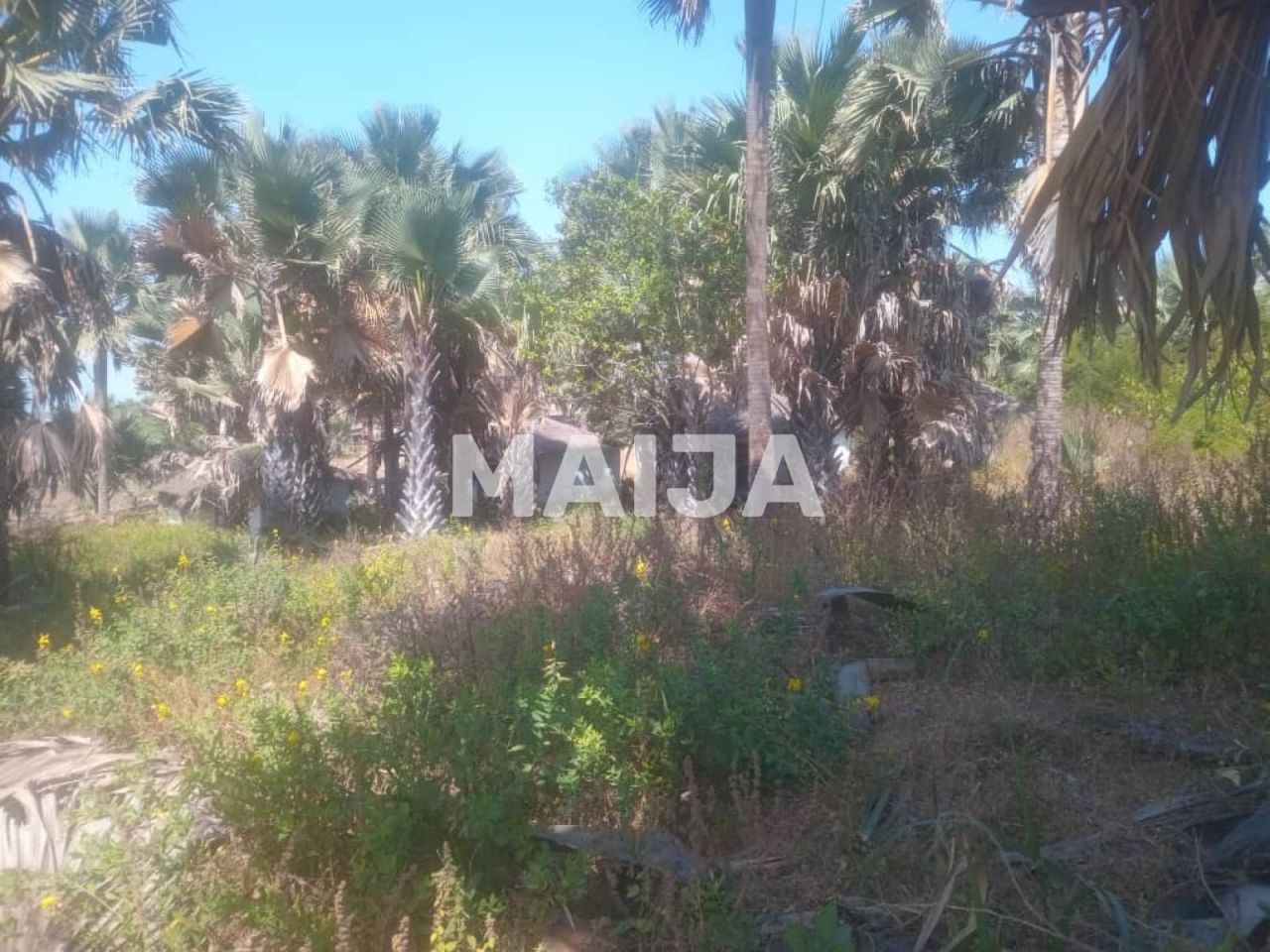 Офис Gunjur Madina, Гамбия, 14.07 м² - фото 6