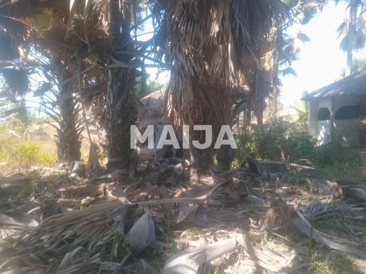 Офис Gunjur Madina, Гамбия, 14.07 м² - фото 14