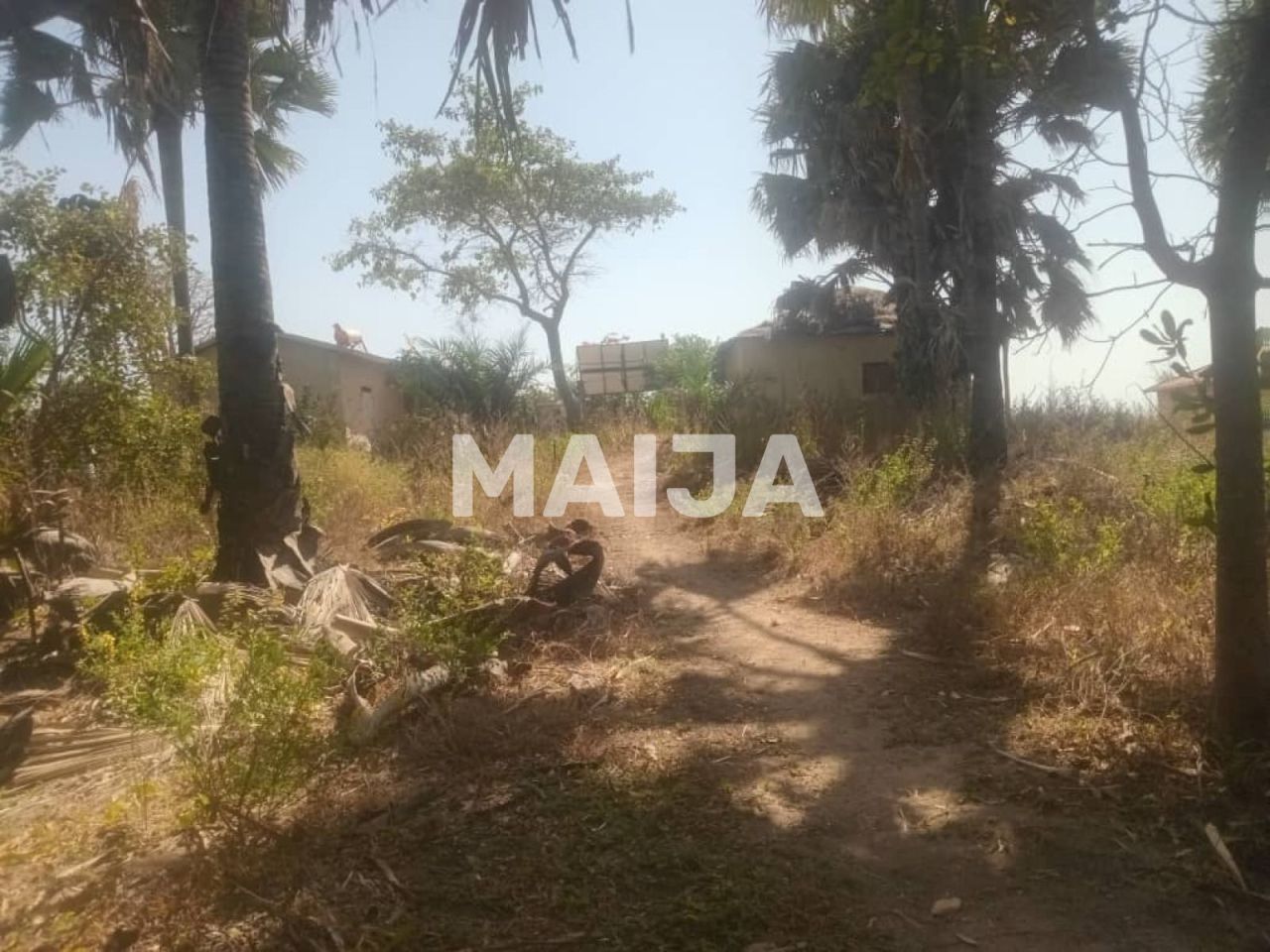 Офис Gunjur Madina, Гамбия, 14.07 м² - фото 15