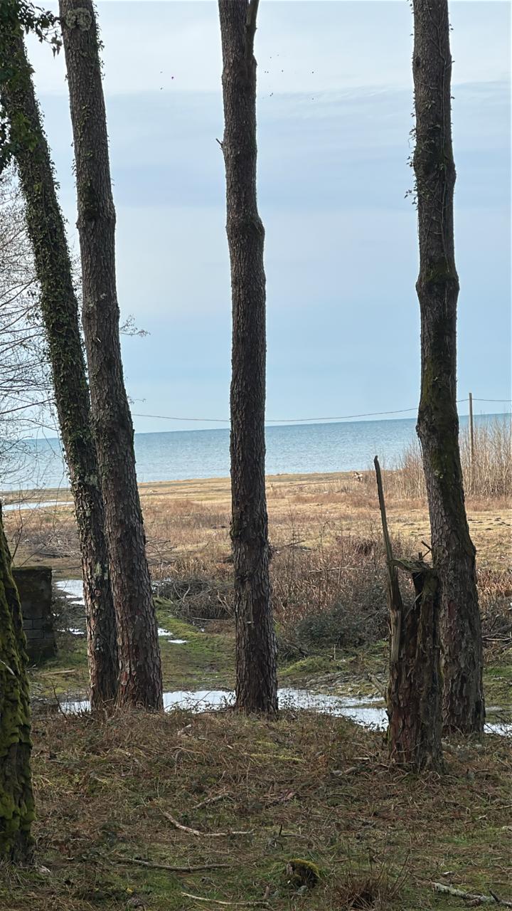 Земля в Батуми, Грузия, 1 500 м² - фото 2