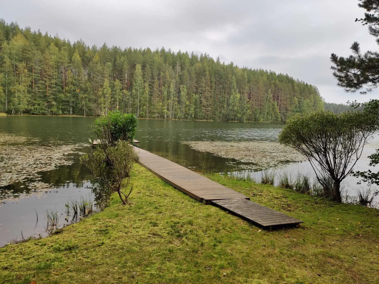 Дом в Кесялахти, Финляндия, 80 м² - фото 15