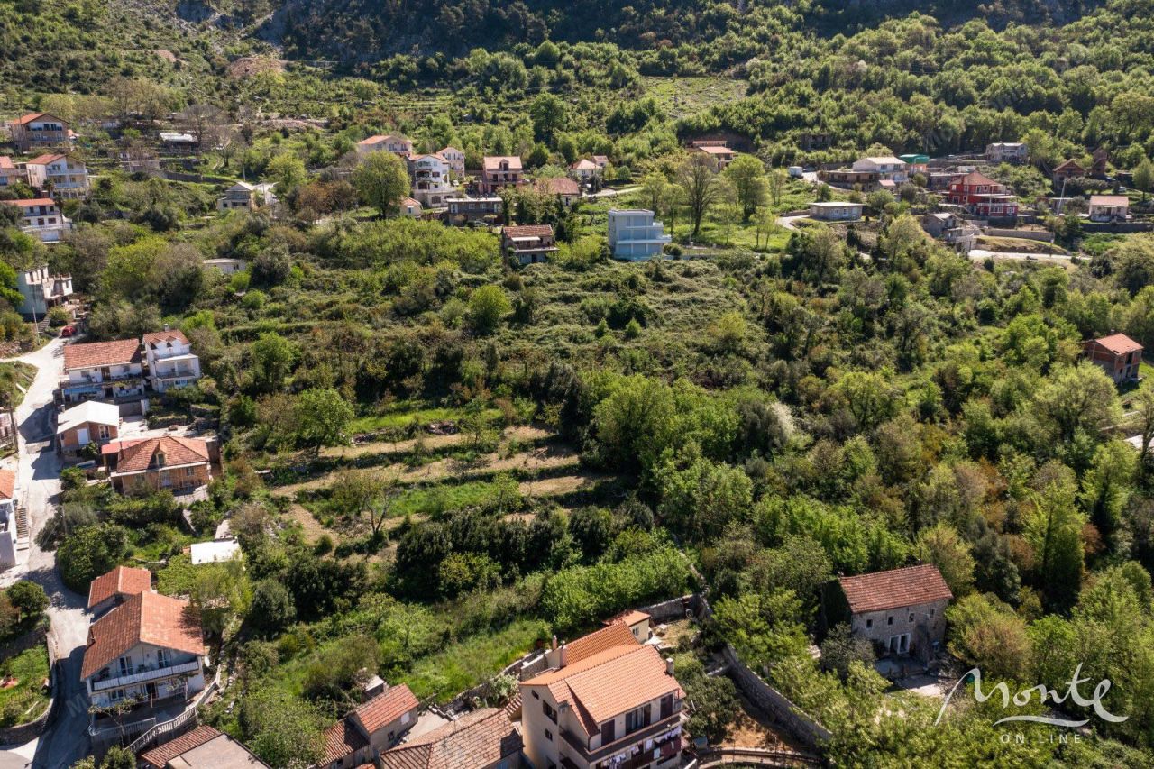 Земля в Рисане, Черногория, 13 000 м² - фото 5