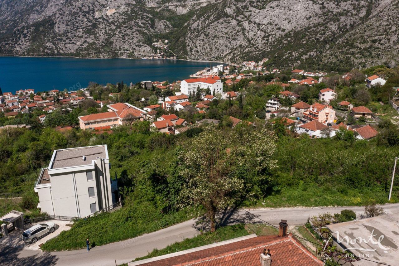 Земля в Рисане, Черногория, 13 000 м² - фото 9