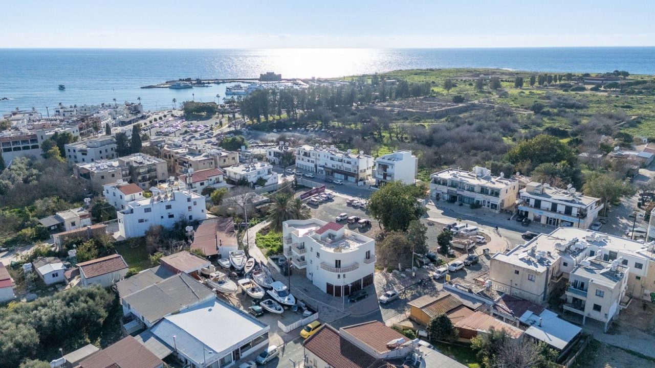Коммерческая недвижимость в Пафосе, Кипр, 254 м² - фото 2