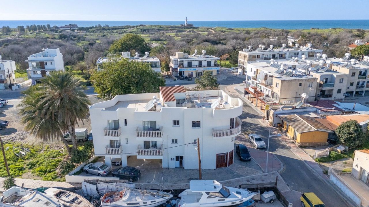 Коммерческая недвижимость в Пафосе, Кипр, 254 м² - фото 3