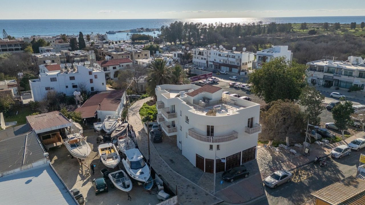 Коммерческая недвижимость в Пафосе, Кипр, 254 м² - фото 8
