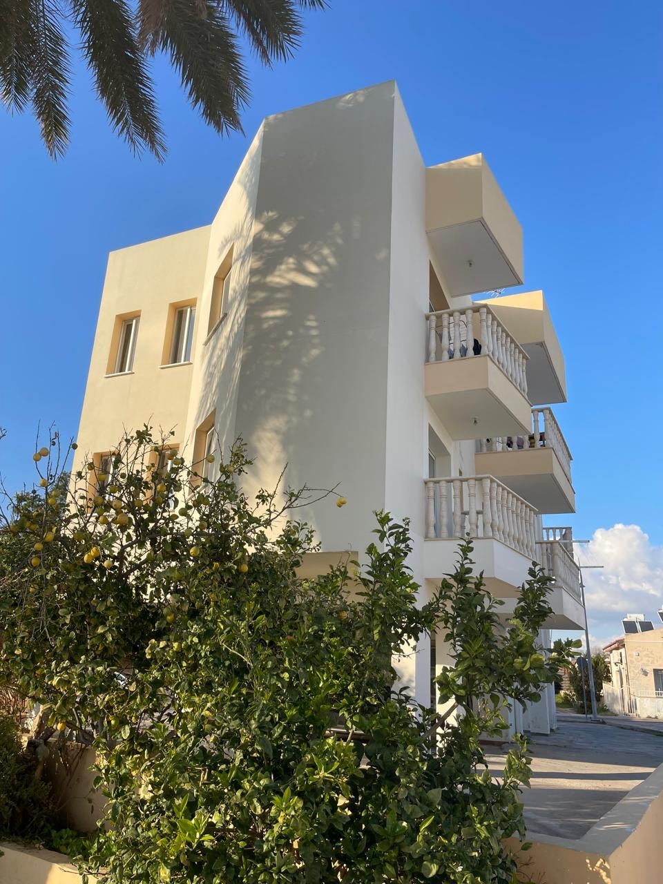 Коммерческая недвижимость в Пафосе, Кипр, 254 м² - фото 15