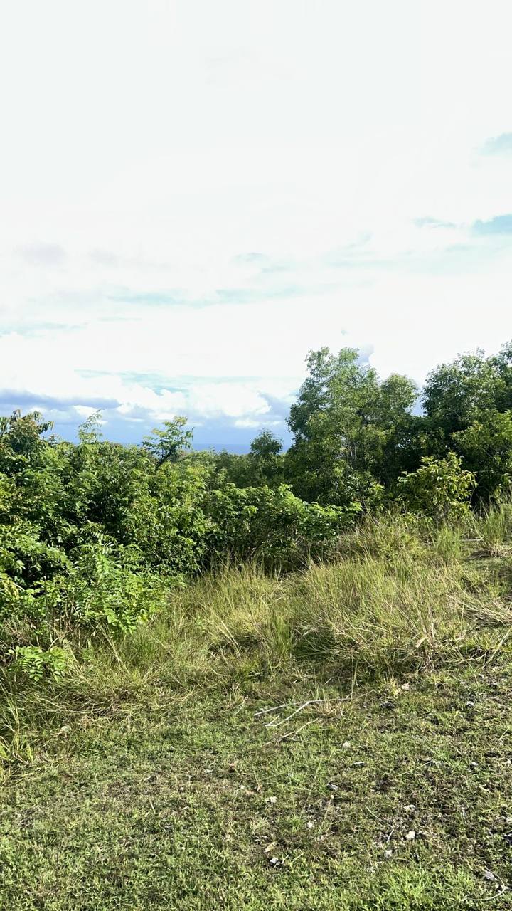 Земля в Буките, Индонезия, 10 сот. - фото 2