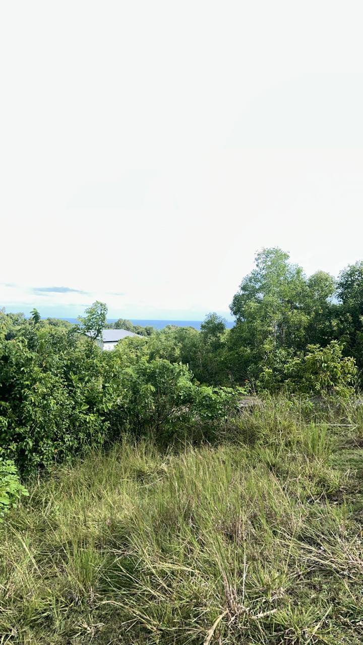 Земля в Буките, Индонезия, 10 сот. - фото 1