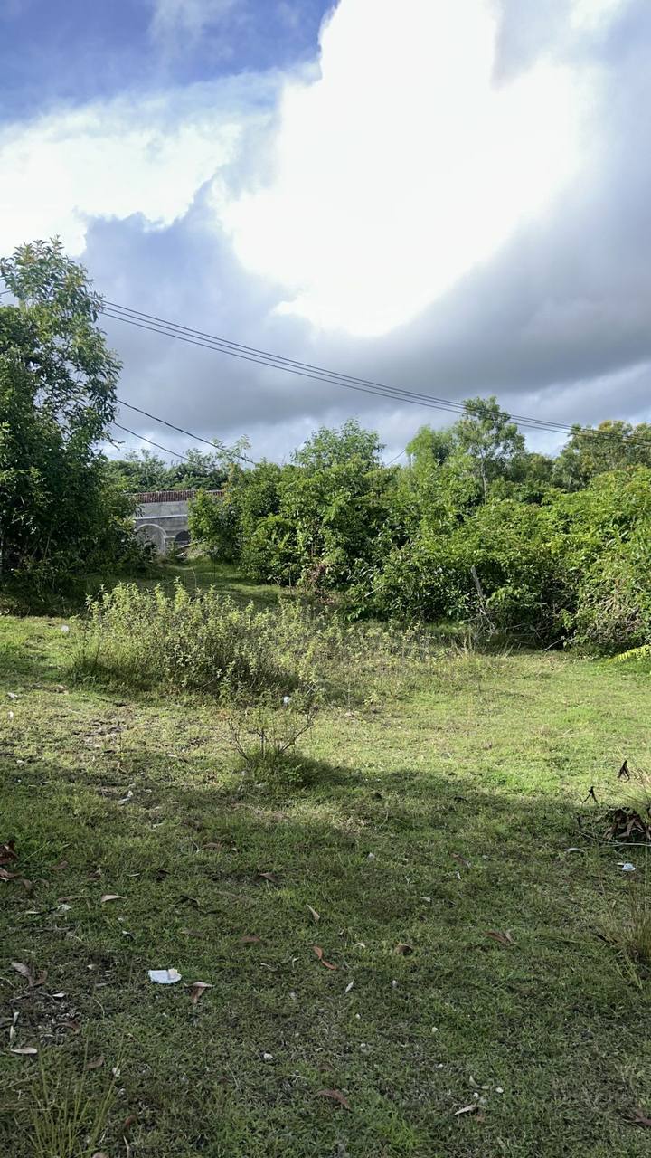 Земля в Буките, Индонезия, 10 сот. - фото 3