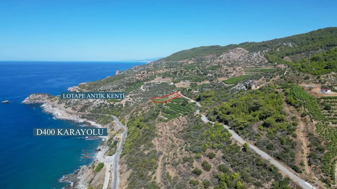 Земля в Алании, Турция, 6 257 м² - фото 1