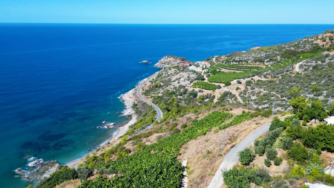 Земля в Алании, Турция, 6 257 м² - фото 2