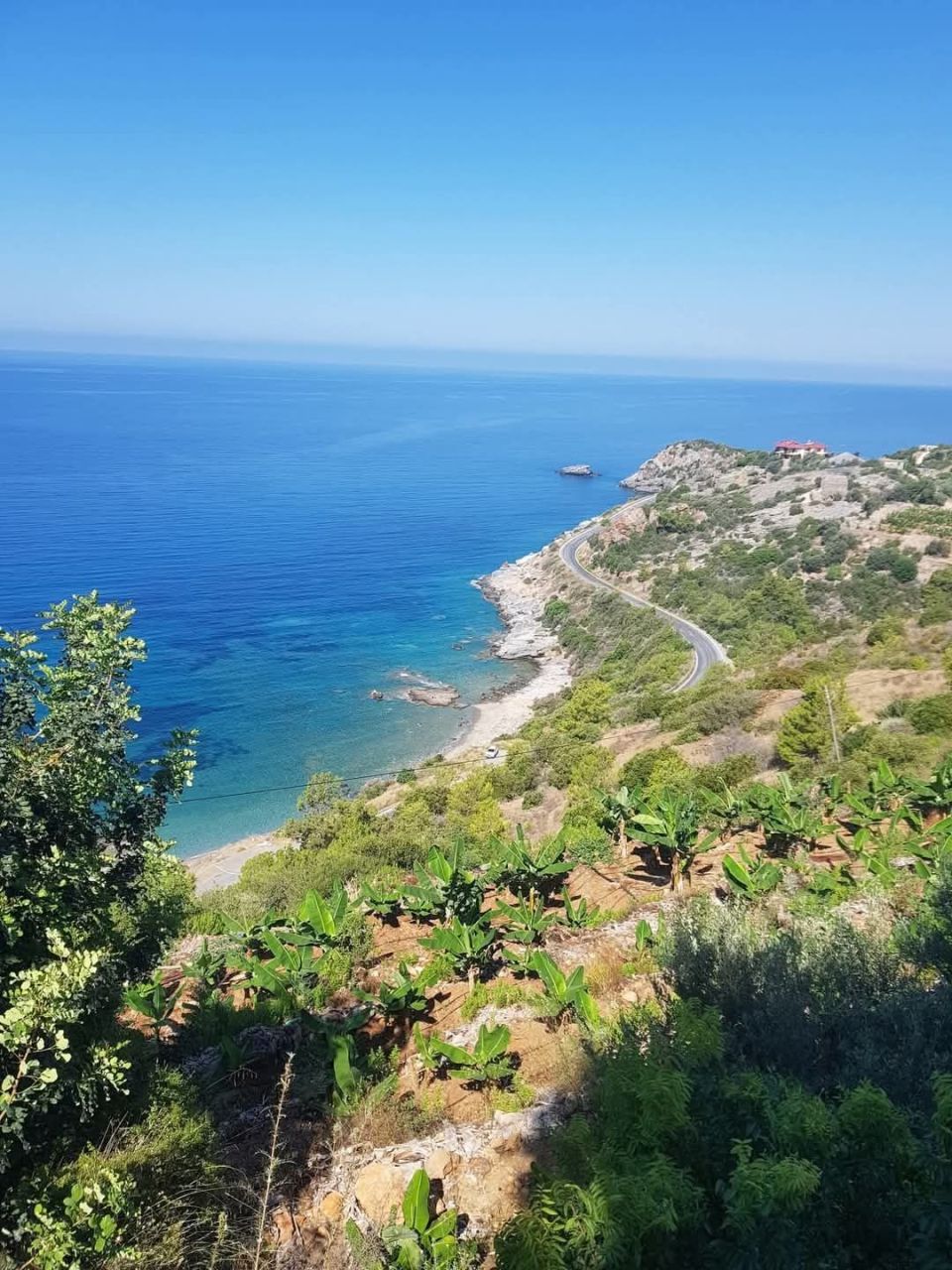 Земля в Алании, Турция, 6 257 м² - фото 3