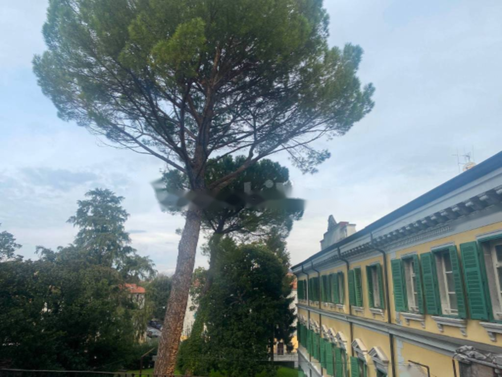 Квартира в Гориции, Италия, 157 м² - фото 3