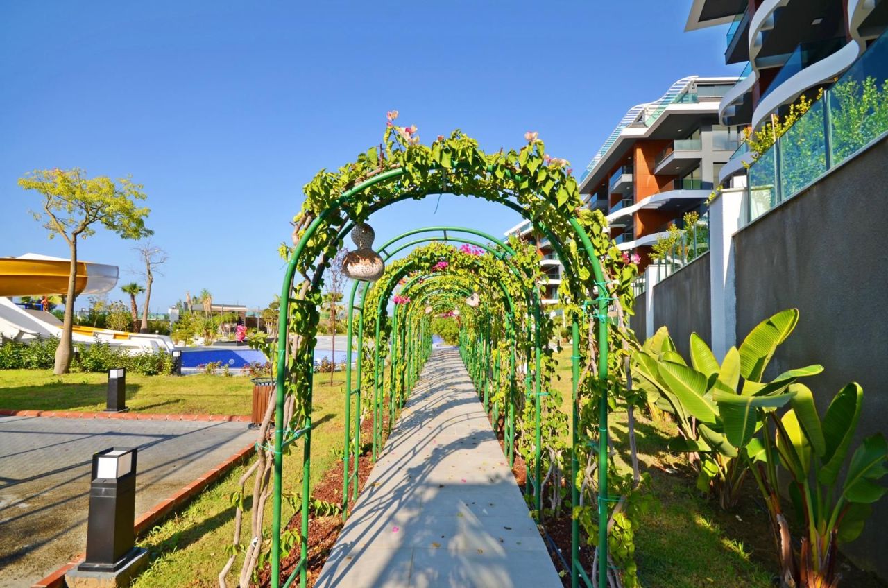 Апартаменты в Алании, Турция, 85 м² - фото 12