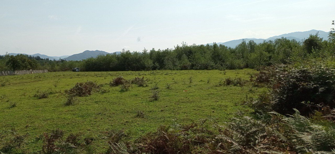 Земля в Чохатаурском муниципалитете, Грузия, 3 346 м² - фото 3