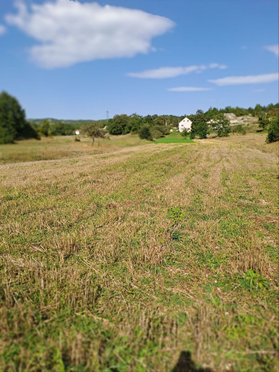 Земля в Грахово, Черногория, 27 466 м² - фото 3