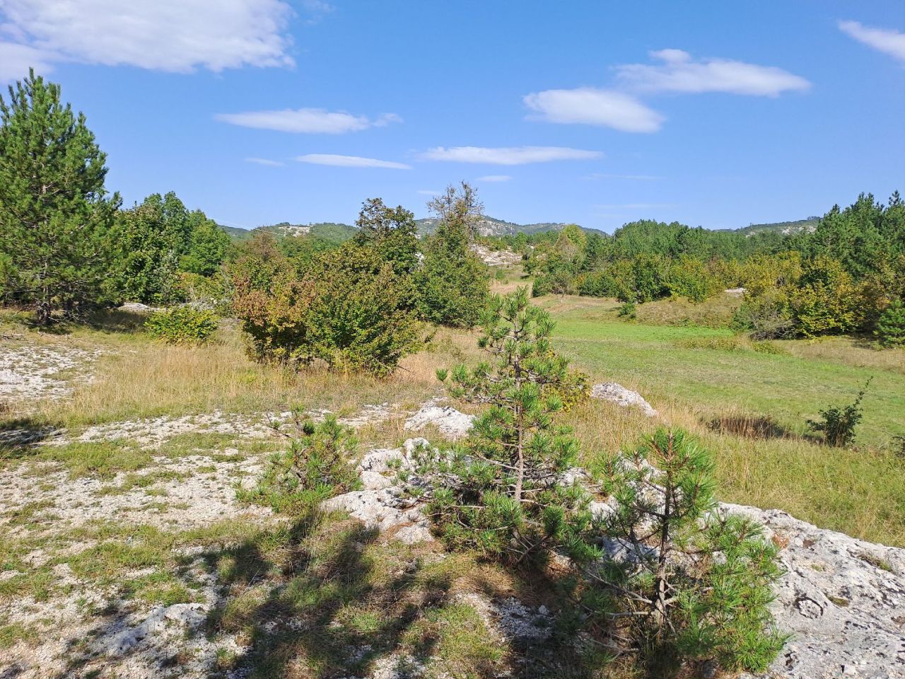 Земля в Грахово, Черногория, 27 466 м² - фото 4