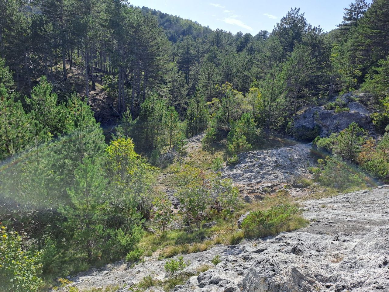 Земля в Грахово, Черногория, 27 466 м² - фото 11