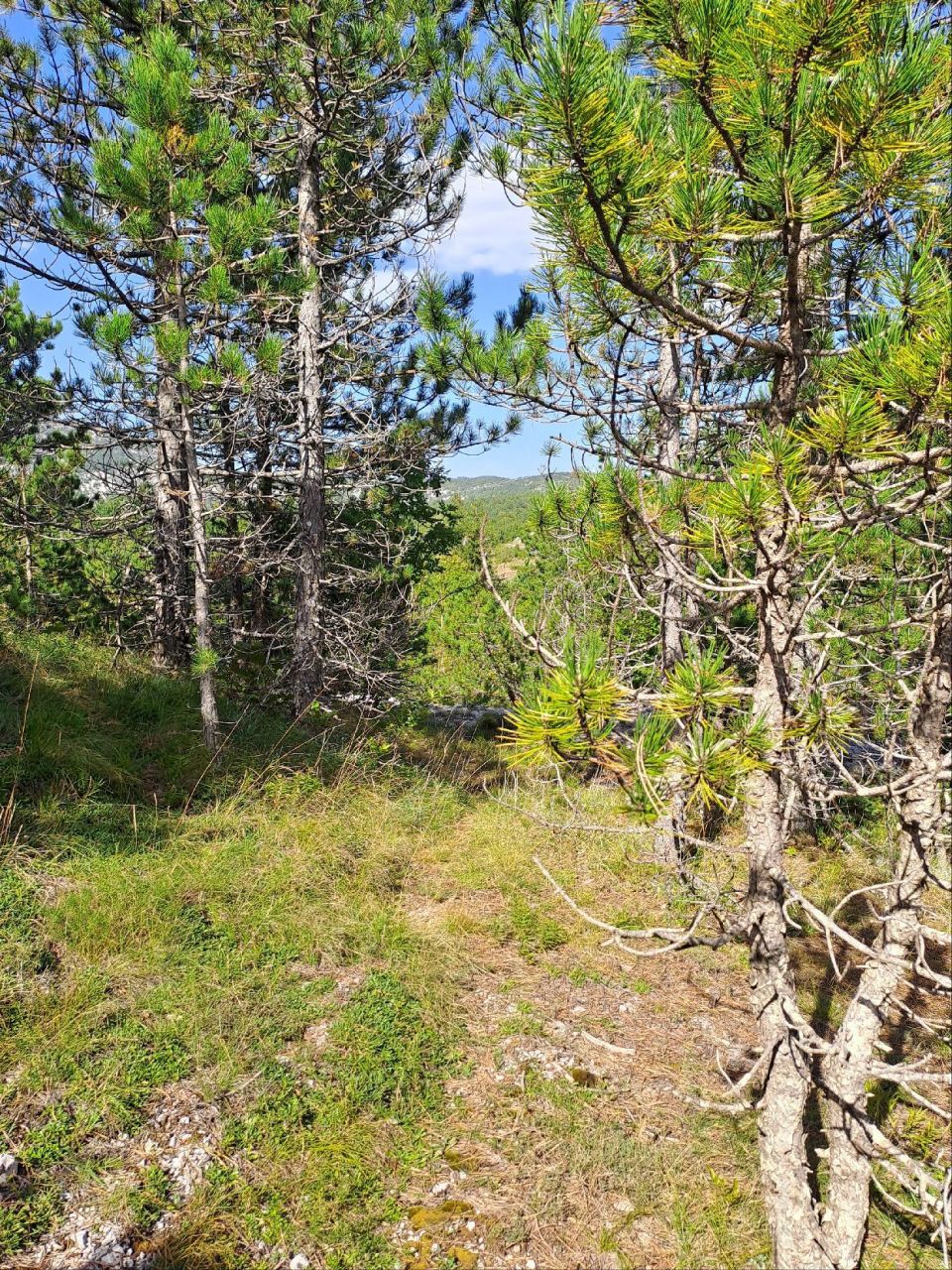 Земля в Грахово, Черногория, 27 466 м² - фото 7