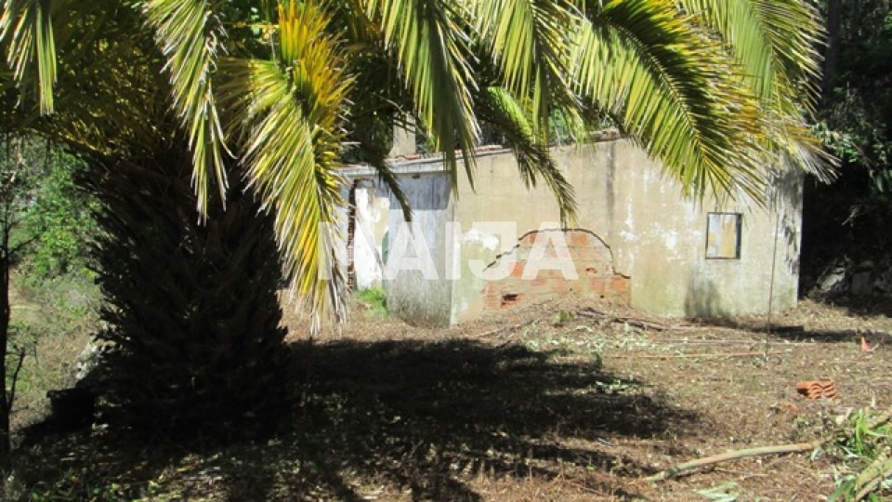 Земля Monchique, Португалия, 16 440 м² - фото 5