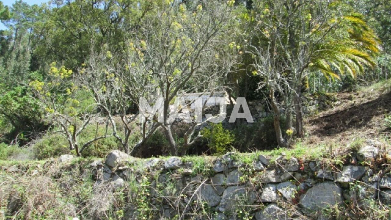 Земля Monchique, Португалия, 16 440 м² - фото 6