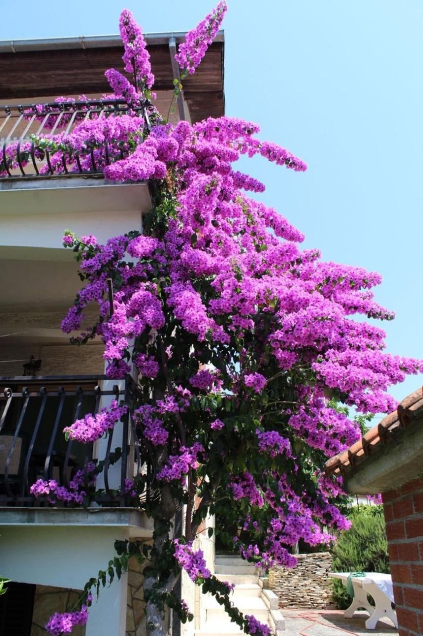 Отель, гостиница на Чиово, Хорватия, 400 м² - фото 4