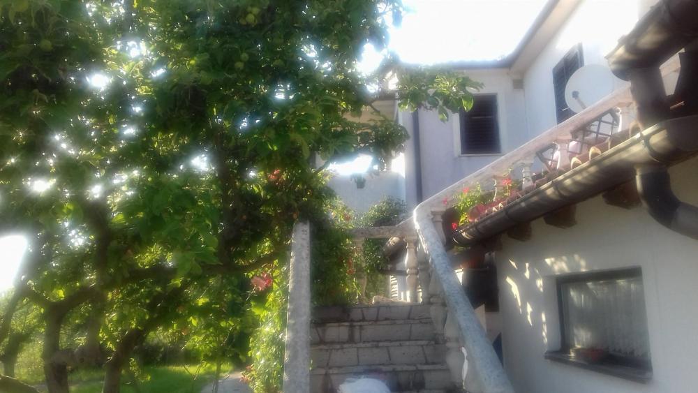 Отель, гостиница в Вижинаде, Хорватия, 357 м² - фото 5