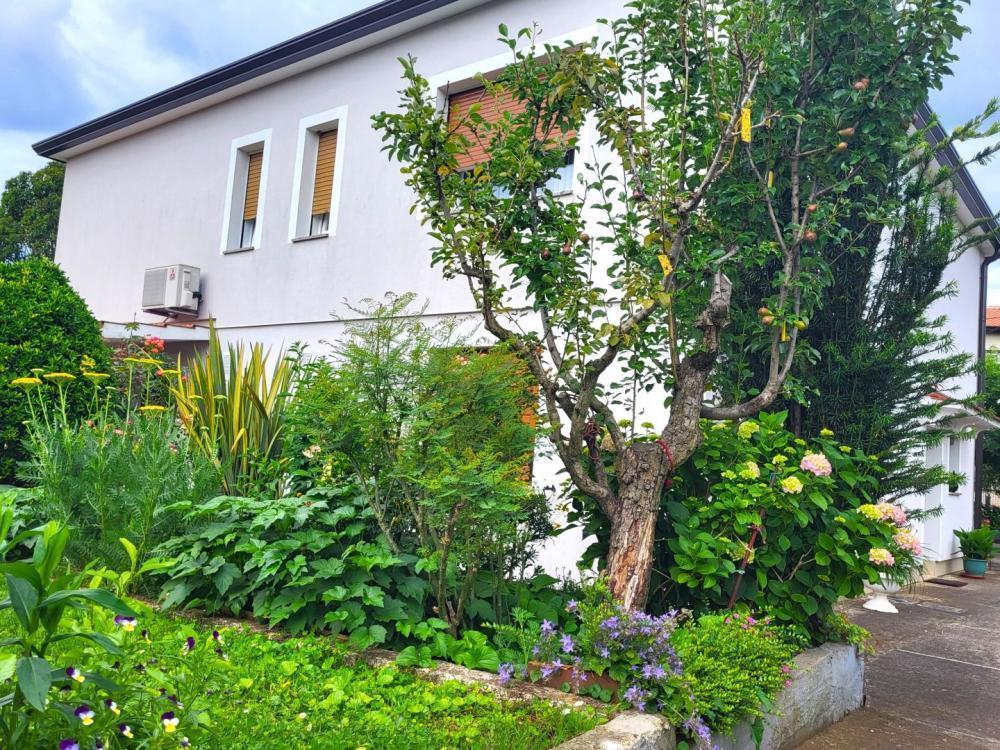 Отель, гостиница в Умаге, Хорватия, 277 м² - фото 5