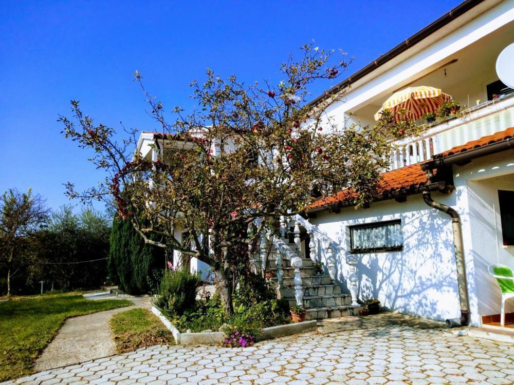 Отель, гостиница в Вижинаде, Хорватия, 357 м² - фото 7