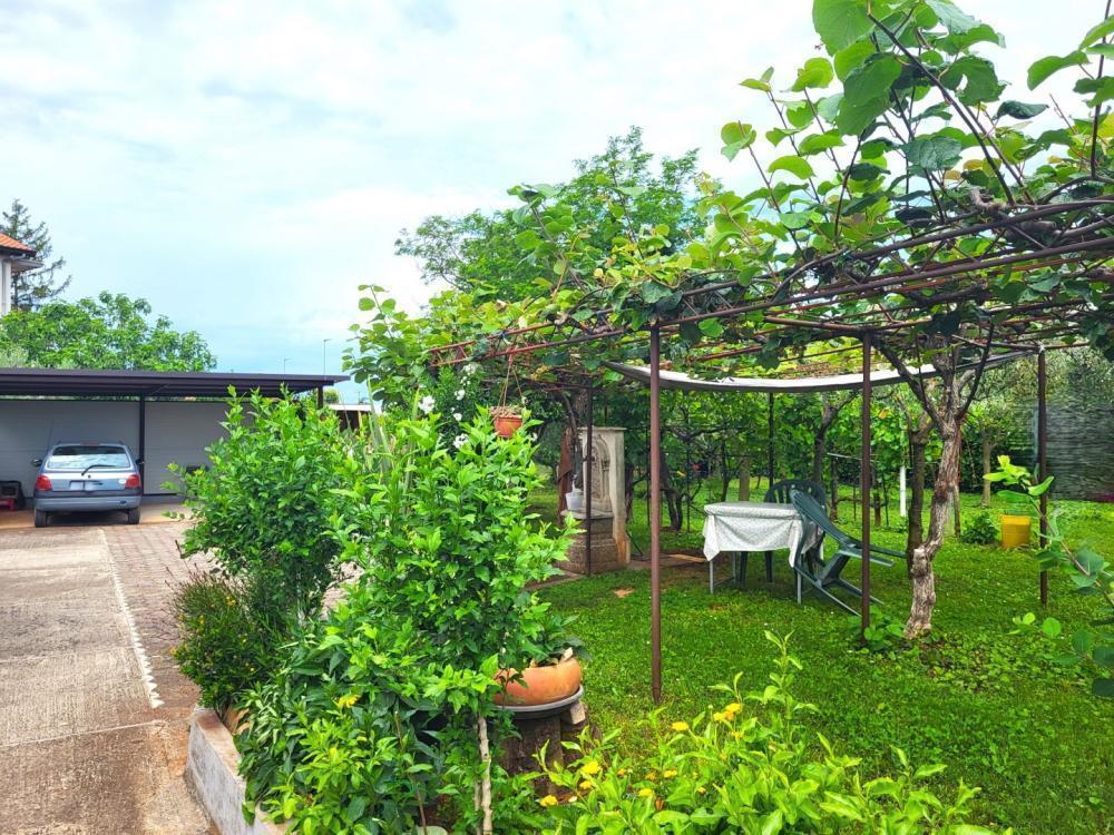 Отель, гостиница в Умаге, Хорватия, 277 м² - фото 9