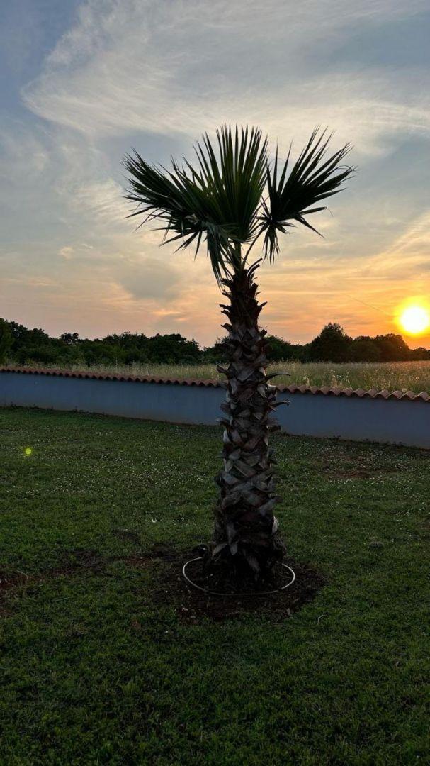 Вилла в Фажане, Хорватия, 149 м² - фото 11