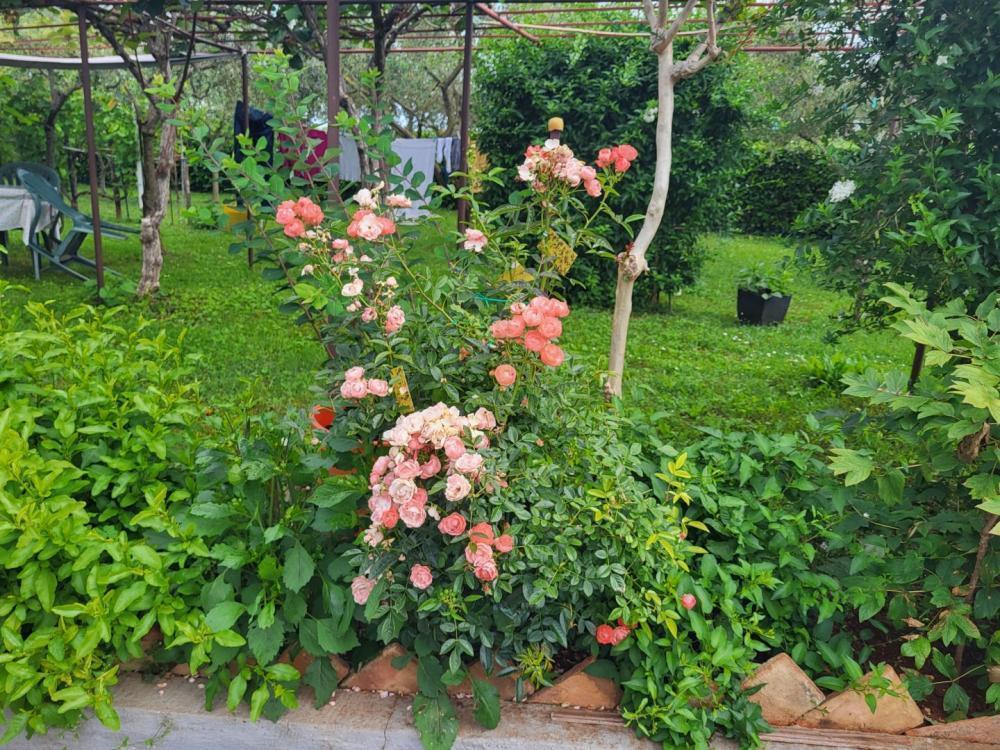 Отель, гостиница в Умаге, Хорватия, 277 м² - фото 11