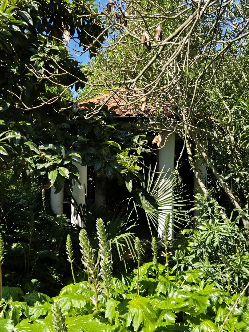 Отель, гостиница в Помере, Хорватия, 320 м² - фото 13