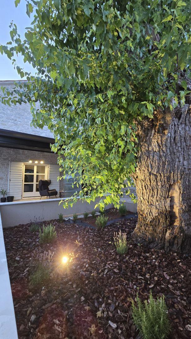 Вилла в Вишняне, Хорватия, 130 м² - фото 19