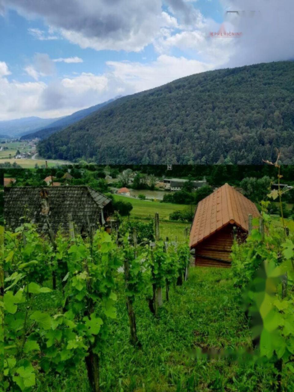 Дом в Ново-Место, Словения, 44 м² - фото 1