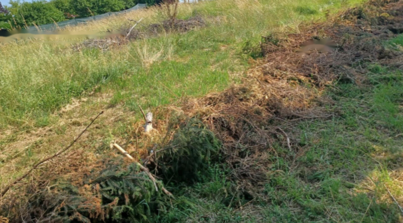 Земля в Любляне, Словения, 1 622 м² - фото 1