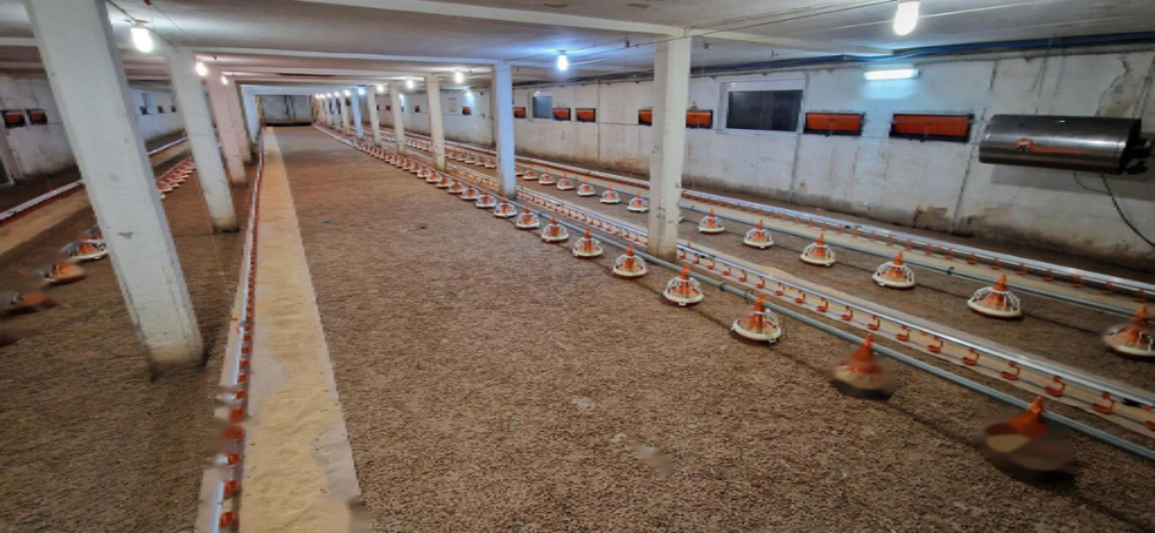 Ферма в Словенска-Бистрице, Словения, 19 132 м² - фото 1