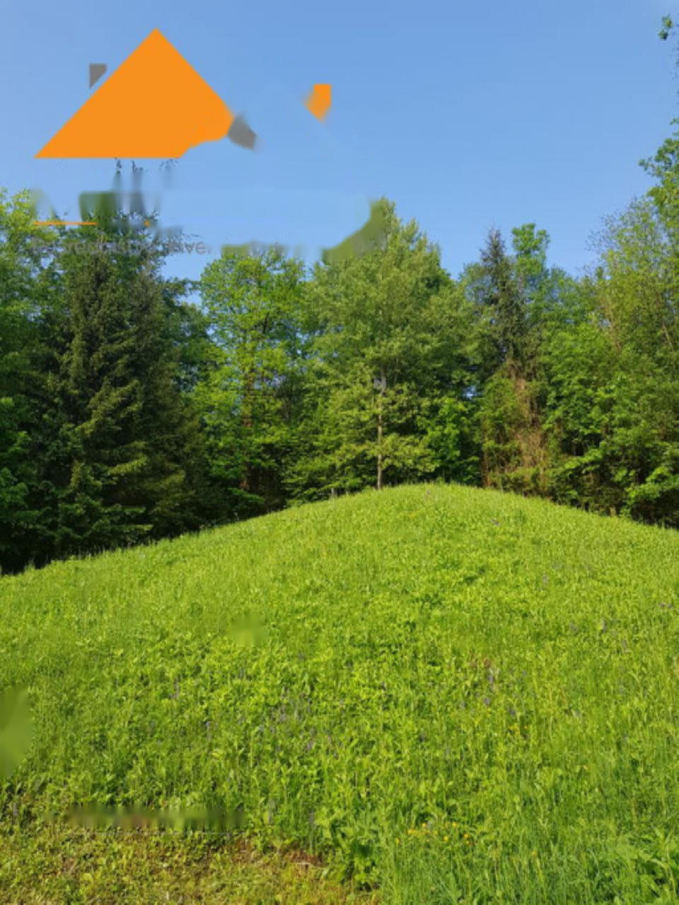 Земля в Радовлице, Словения, 2 938 м² - фото 2