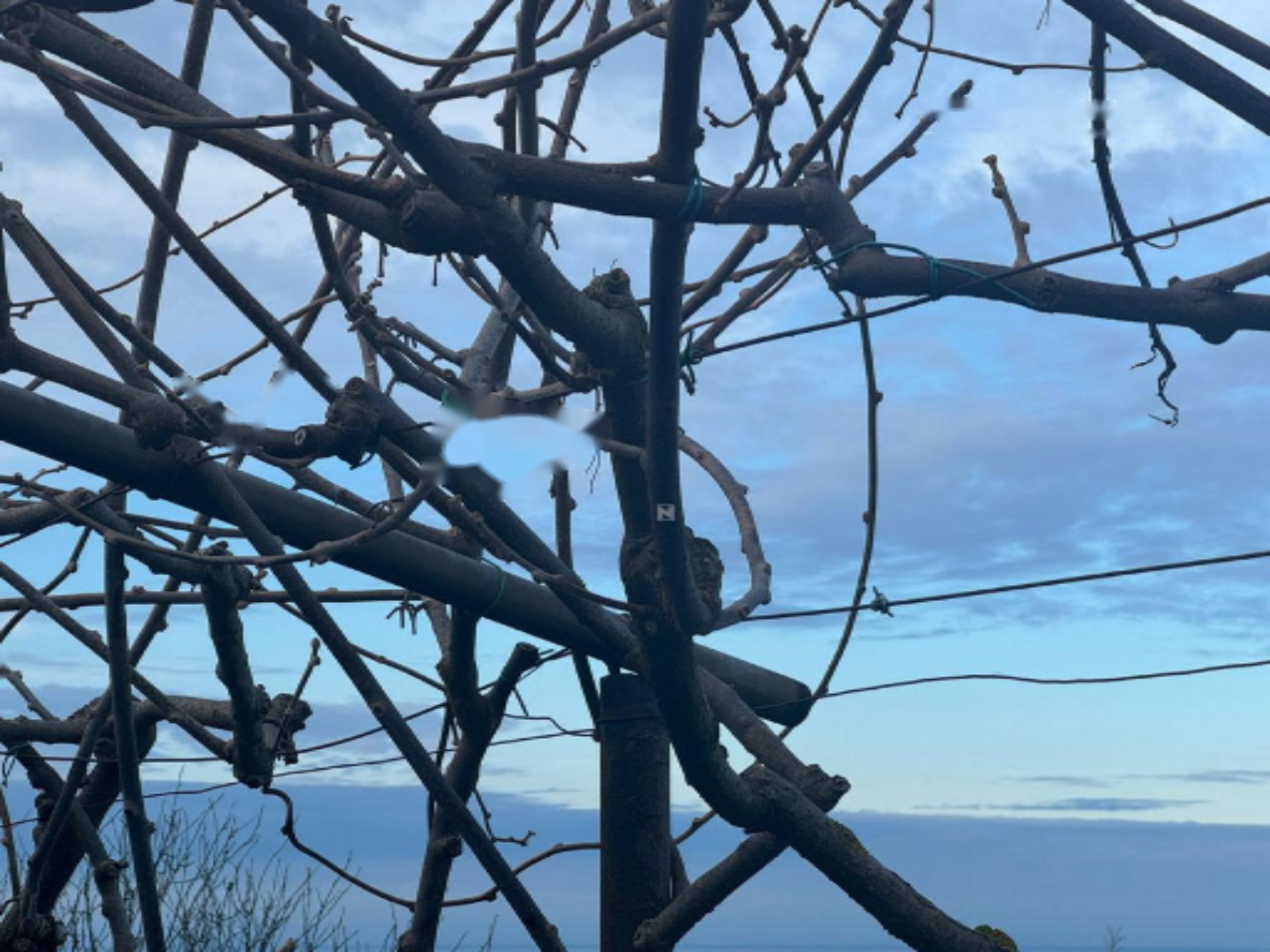 Дом в Портороже, Словения, 120 м² - фото 2