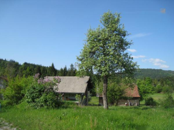 Ферма в Церкнице, Словения, 214 м² - фото 2