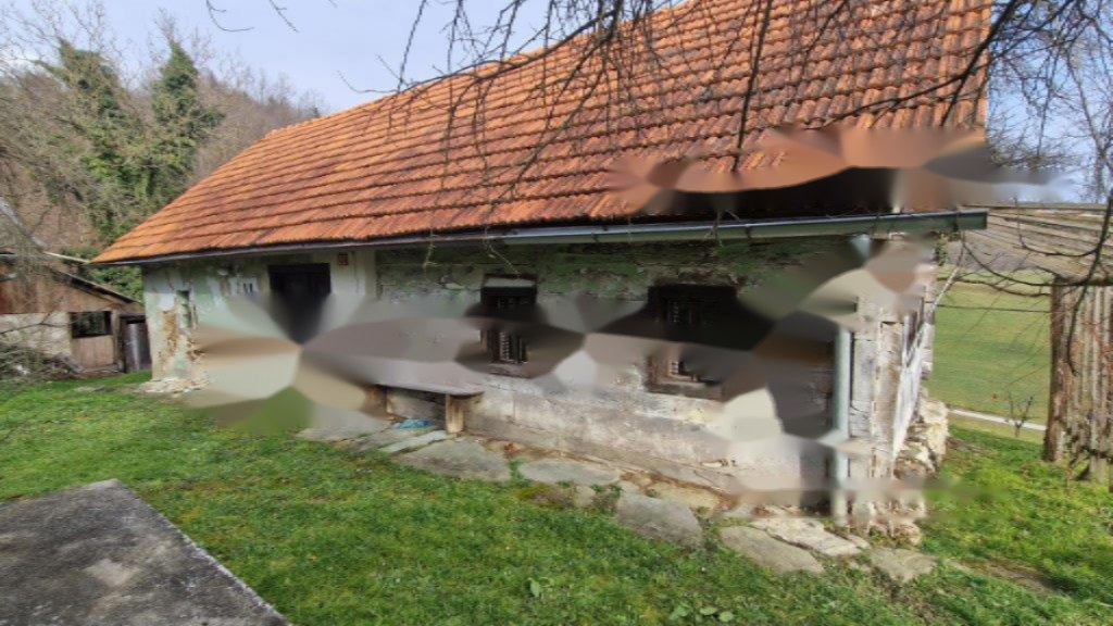 Ферма в Целе, Словения, 45 000 м² - фото 3