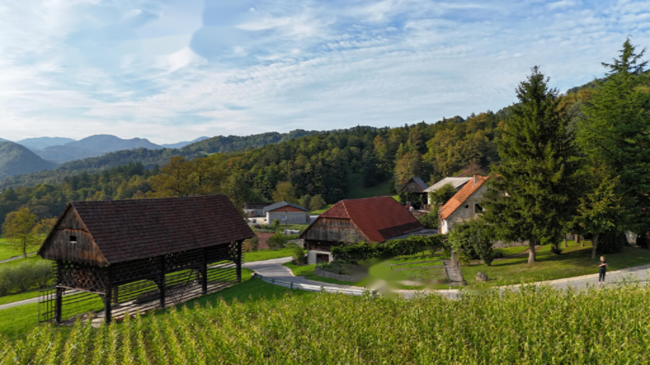 Ферма в Лашко, Словения, 128 500 м² - фото 3