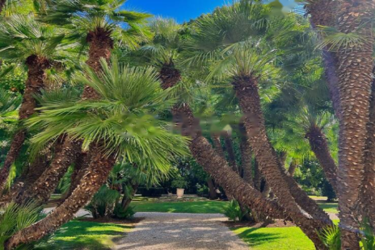 Квартира в Каннах, Франция, 90 м² - фото 2