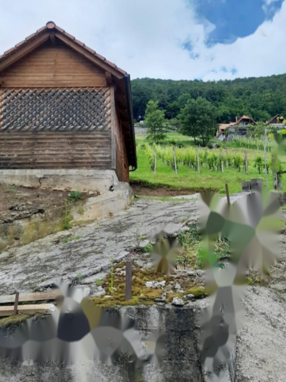 Дом в Ново-Место, Словения, 44 м² - фото 5